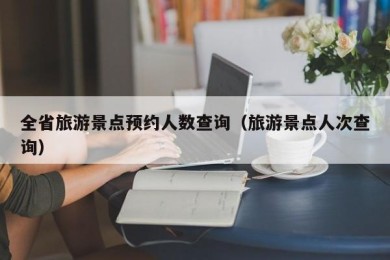 全省旅游景点预约人数查询（旅游景点人次查询）