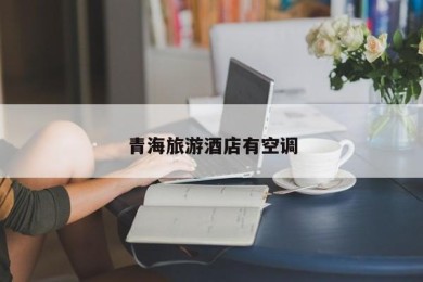 青海旅游酒店有空调