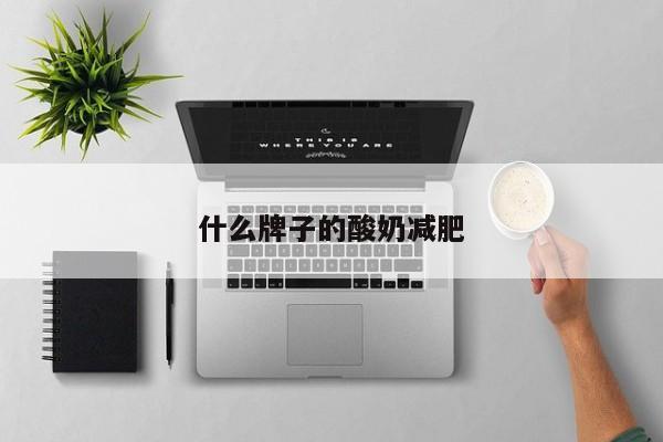 什么牌子的酸奶减肥